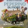 Peperino in Fiore
