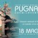Festa dei Pugnaloni