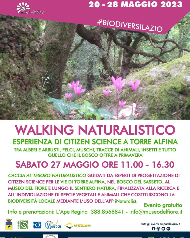 Walking naturalistico