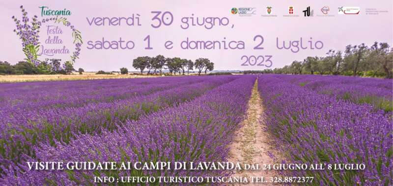 Festa della Lavanda