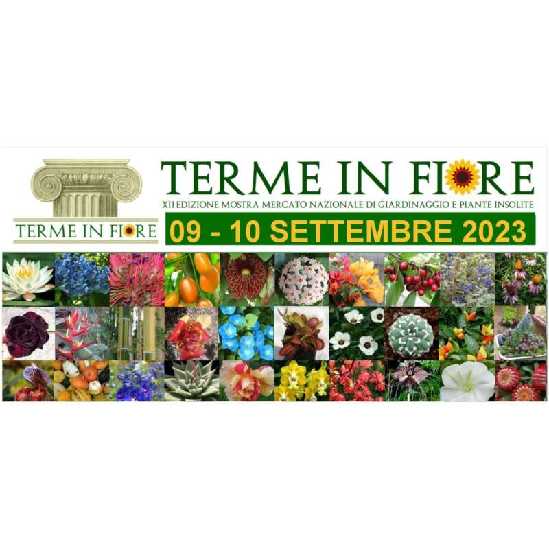 Terme in Fiore XII Edizione