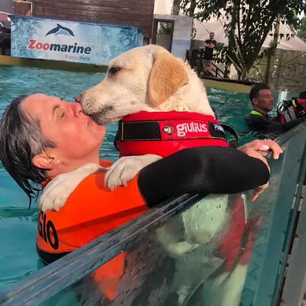 Splash Dog per la Giornata Mondiale del Cane a Zoomarine
