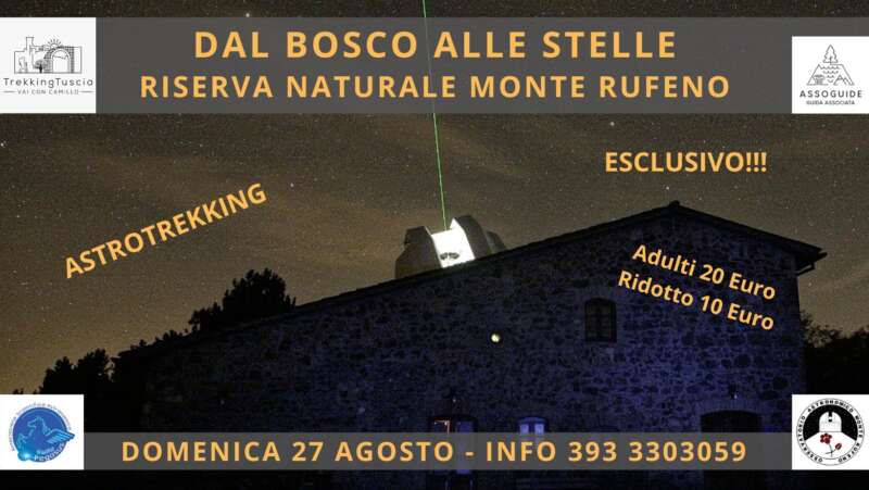 Dal bosco alle stelle