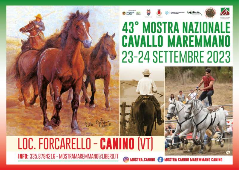 Mostra Nazionale del Cavallo Maremmano