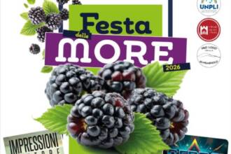 Festa delle More