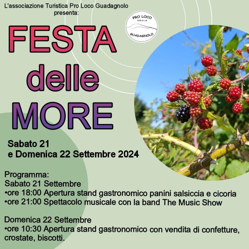 Festa delle More