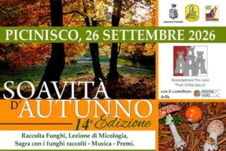 Soavità d’Autunno