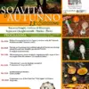 Soavità d’Autunno
