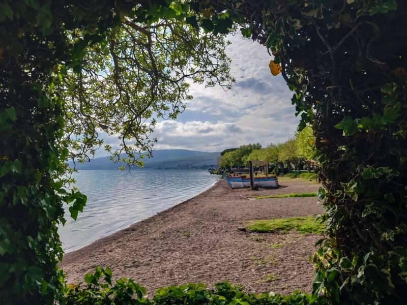 Dal Bosco di Oriolo al lago di Bracciano