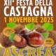 Festa della Castagna
