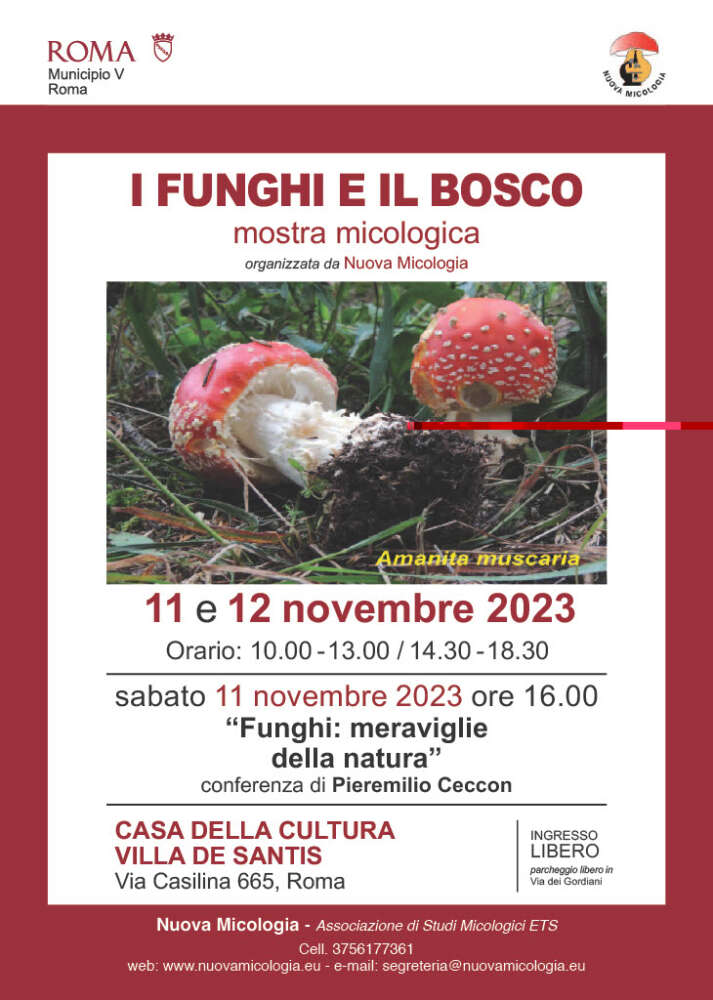 Mostra Micologica "I funghi e il bosco"