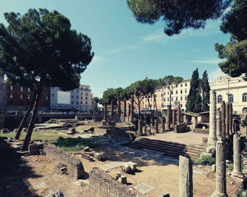 Visita guidata all'Area sacra di Torre Argentina