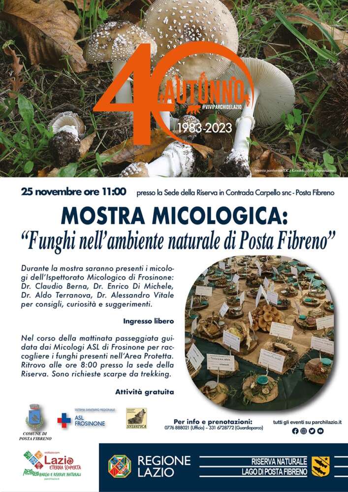 Funghi nell’ambiente naturale di Posta Fibreno