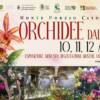 Mostra Internazionale delle Orchidee Mostra Internazionale delle Orchidee
