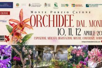 Mostra Internazionale delle Orchidee