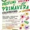 Profumi di Primavera