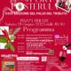 Palio del Tributo