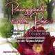 Passeggiando tra le Rose
