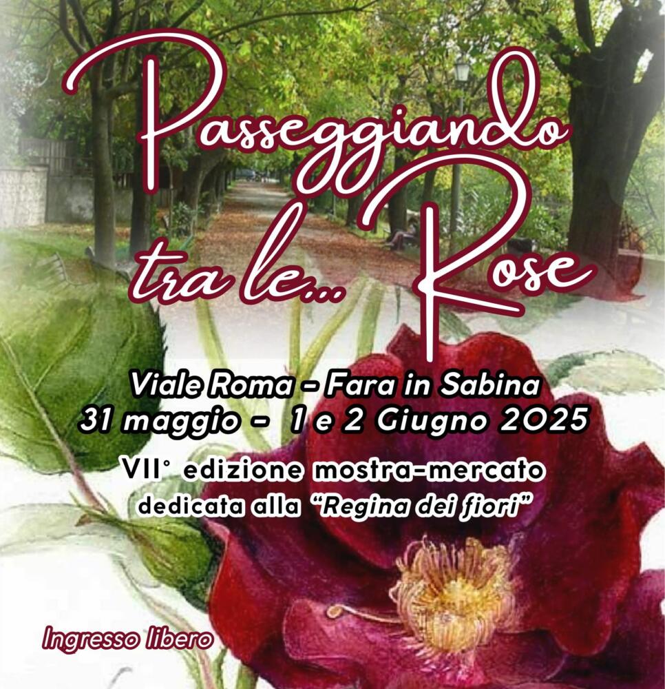 Passeggiando tra le Rose
