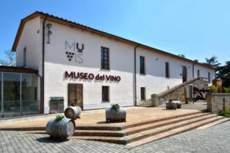 MUVIS - Museo del vino