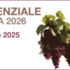 Nuova Guida ai Vini d'Italia