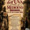 Festa dell'Uva e del Vino