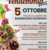 Festa della Vendemmia