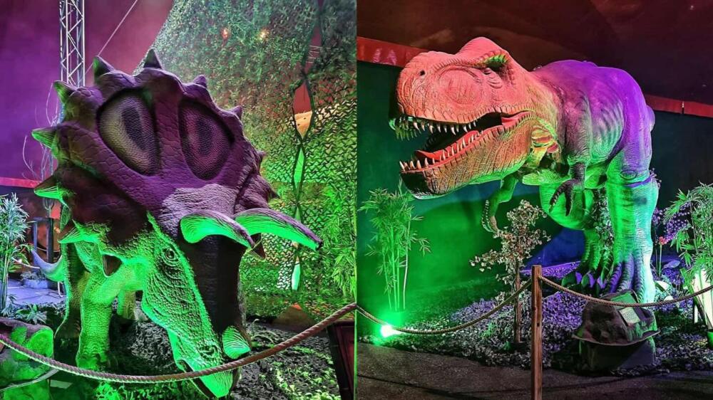 A Roma "Dino Park". Tante curiosità e un viaggio nel tempo in 3D