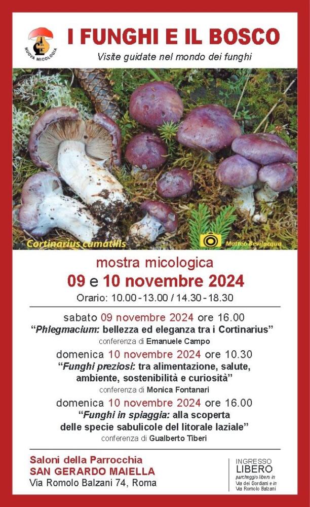 Mostra Micologica I Funghi e il Bosco