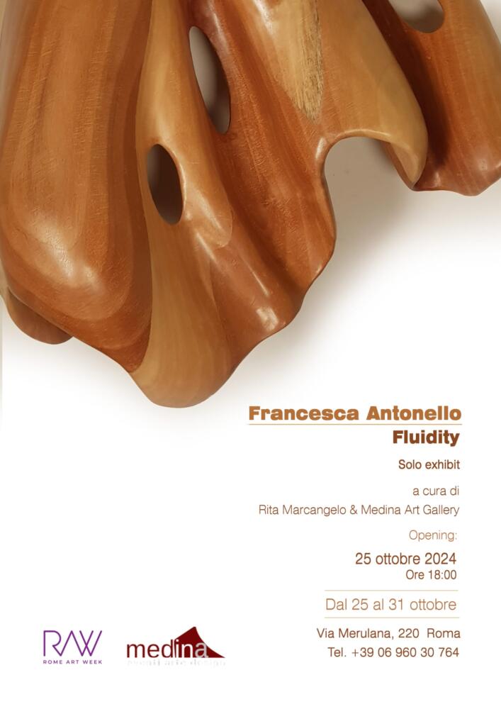 Mostra personale dell'artista Francesca Antonello "Fluidity"