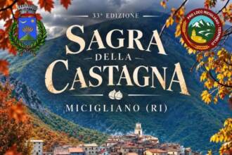 Sagra della Castagna Sagra della Castagna