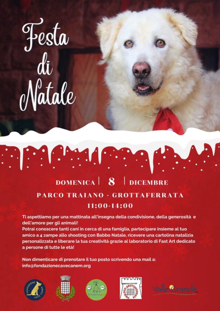 Festa di Natale