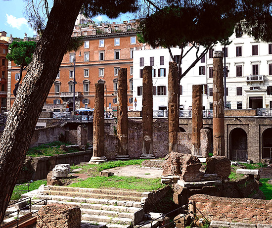 Visita Guidata I Templi Repubblicani di Largo Argentina