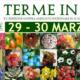 Terme in Fiore XV edizione