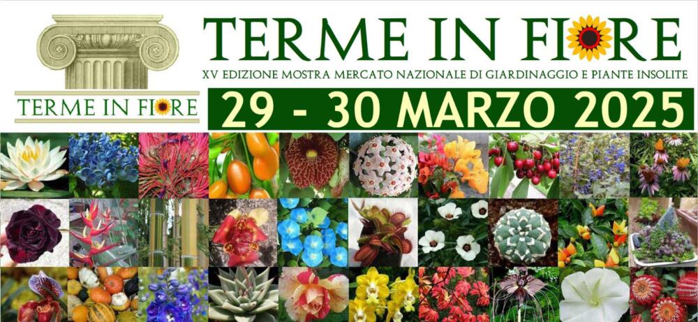 Terme in Fiore XV edizione