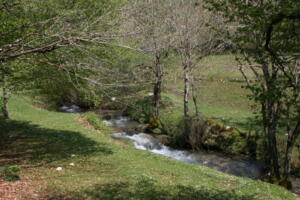 Sorgenti dell’Aniene