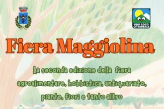 Fiera Maggiolina