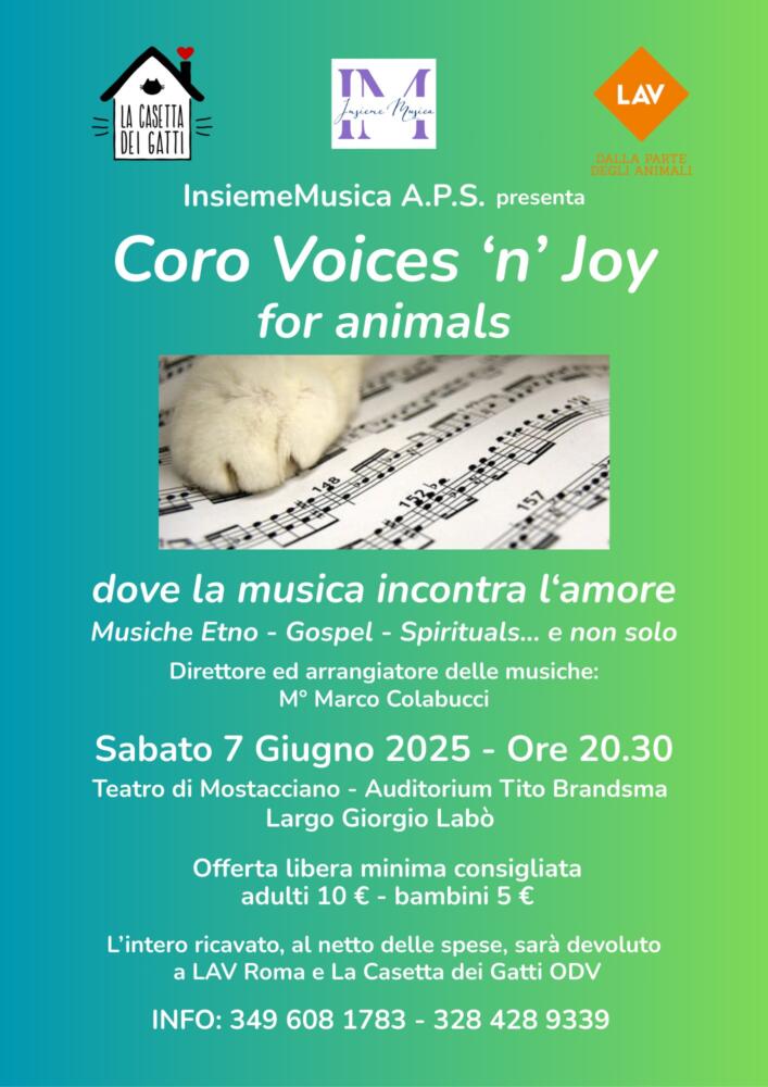 Voices 'n' Joy