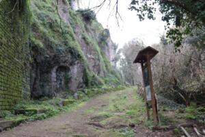 Forre di Corchiano