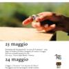 Esercizi di libertà - La voce di Ventotene
