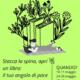 Verba volant... bookcrossing