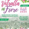 Vetralla in Fiore