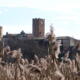 Fuori/Rotta
