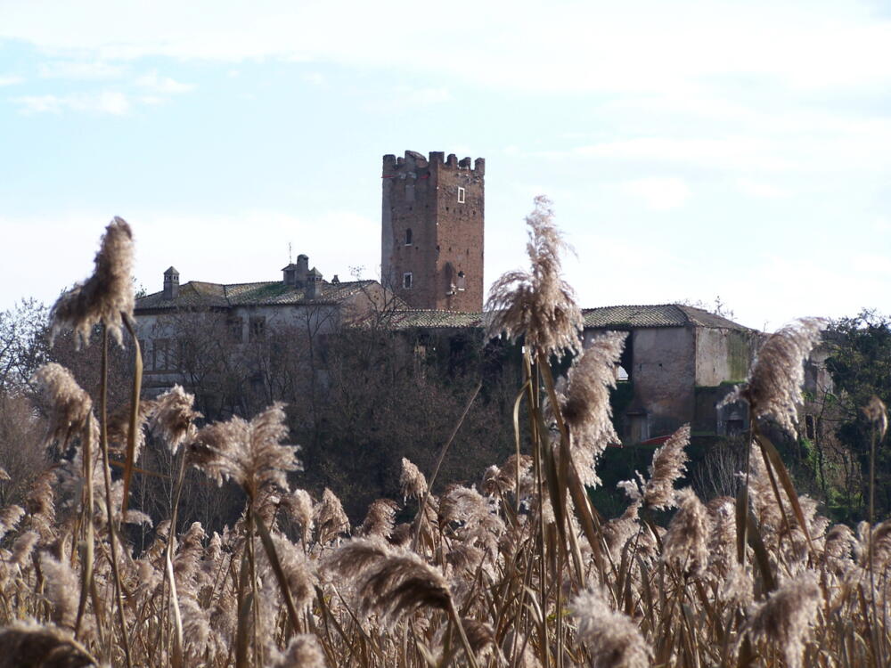 Fuori/Rotta