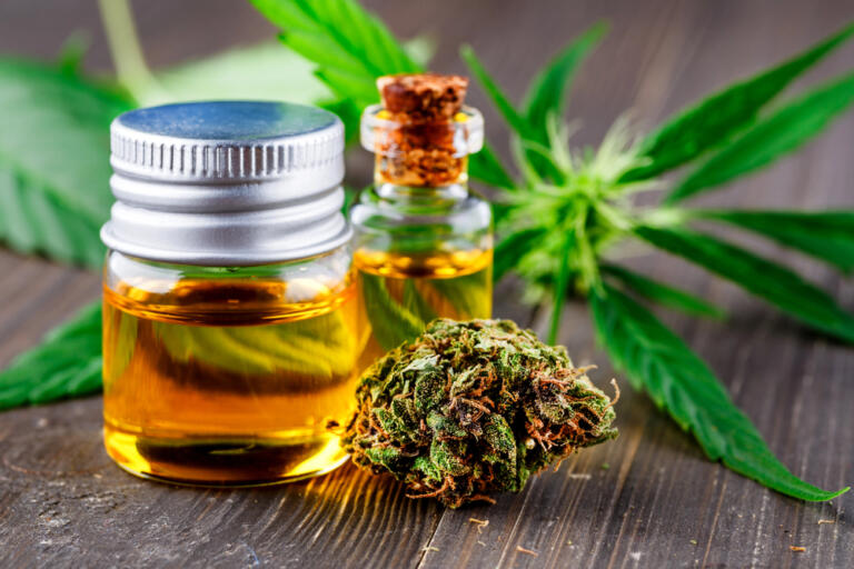 Cannabis terapeutica nel Lazio: come accedere e l’alternativa della cannabis light