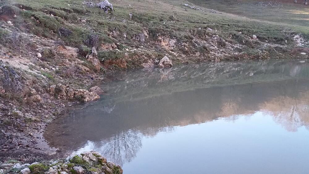 Campaegli : anello del monte Pelato