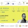 Centenario della nascita dell'artista Michele ROSA
