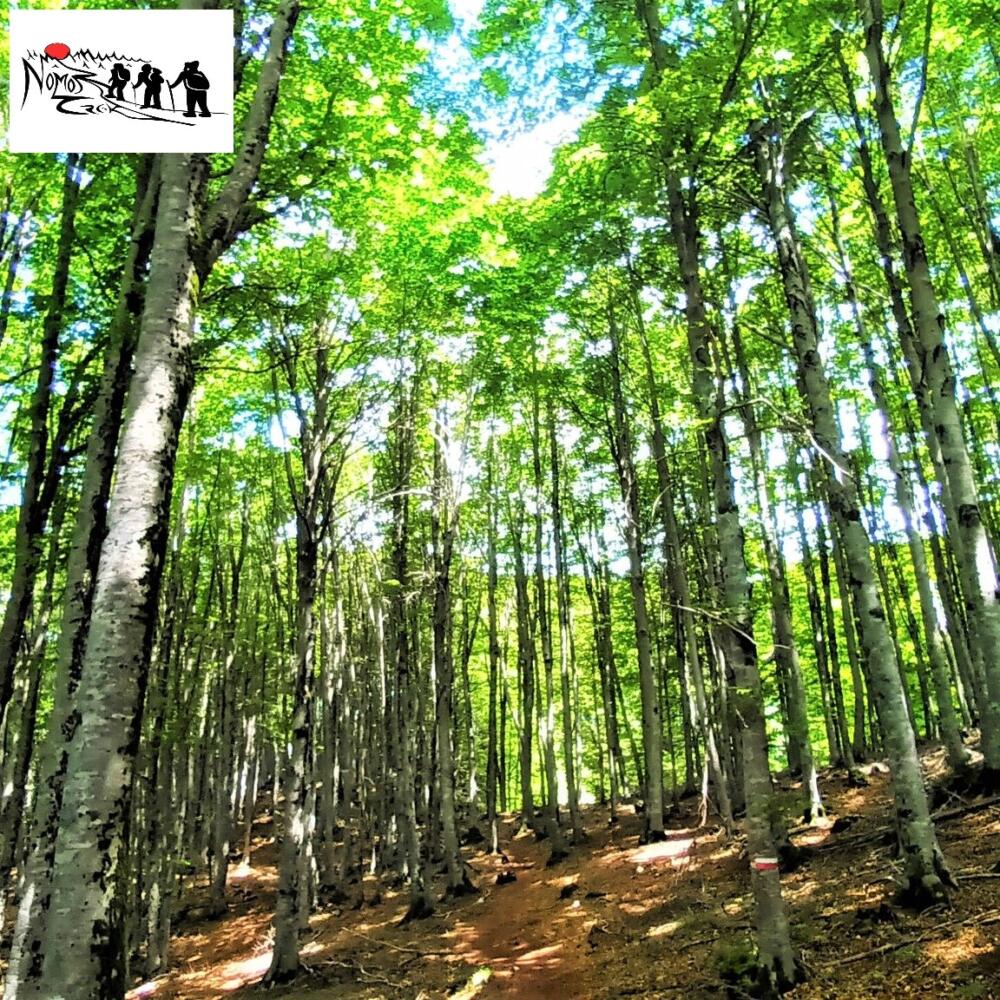 Simbruini: vette e faggete del Parco