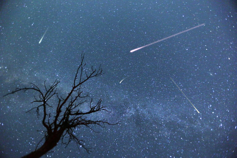 Notte di Stelle 2025: La Guida Definitiva per Vivere la Magia di San Lorenzo nel Lazio