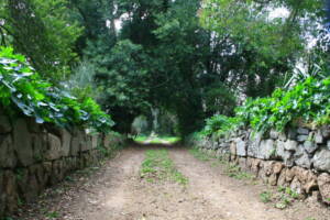 Parco Regionale dell’Appia Antica